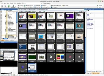 screenshot of program ACDSee Pro 8.1.99